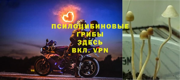 прущий лед Краснослободск