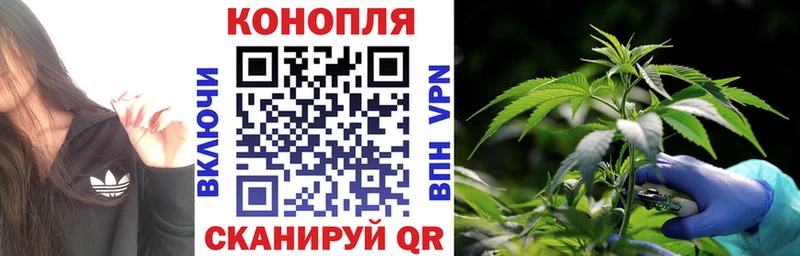 Конопля Ganja Южно-Сухокумск
